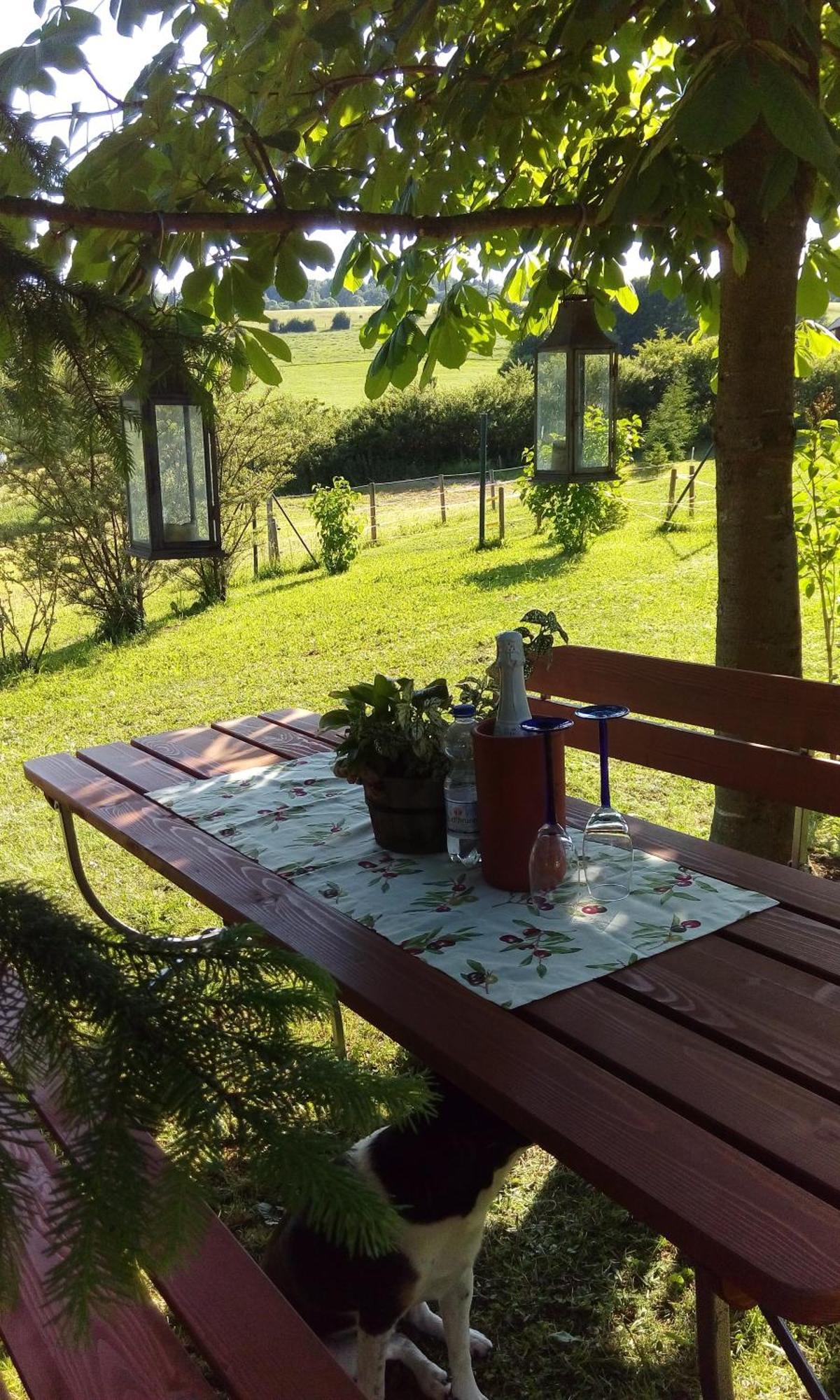 Ferienwohnung Am Hochrhoener Andenhausen Εξωτερικό φωτογραφία